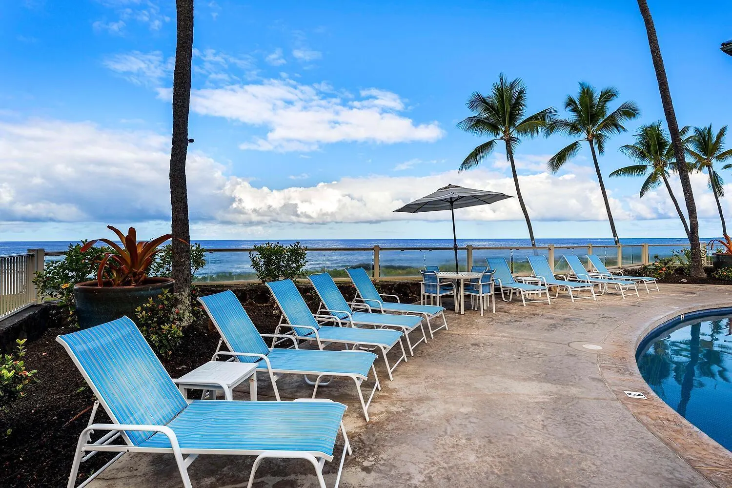 Exceptional Kona Reef Condo - Full Ac - Oceanfront - Walking Distance To Restaurants & Shops 凯路亚-科纳